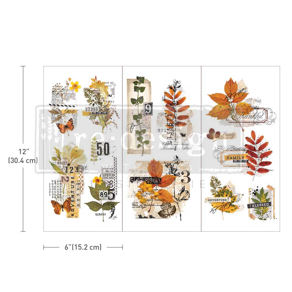 FOLIAGE COLLECTOR - 3 sheets - 6" x 12" each - Redesign Decor Transfer Deca