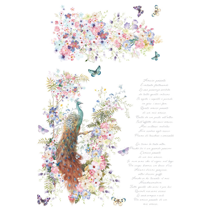 Bellissimo - 31.5cm x 30cm x 6 Sheets - Hokus Pokus Rub On Decor Transfer Decal