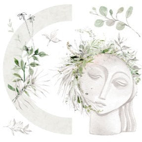 Harmony - 31.5cm x 30cm x 3 Sheets - Hokus Pokus Rub On Decor Transfer Decal