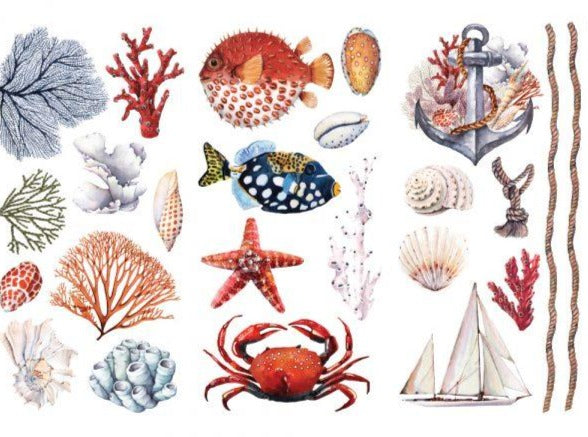 AMAZING SEA LIFE 3 Sheets 15cm X 30cm Each Redesign Decor Transf amazing-sea-life-3-sheets-15cm-x-30cm-each-redesign-decor-transf