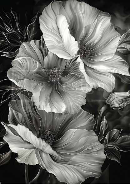 Black and white floral design with detailed petals and leaves on a dark background