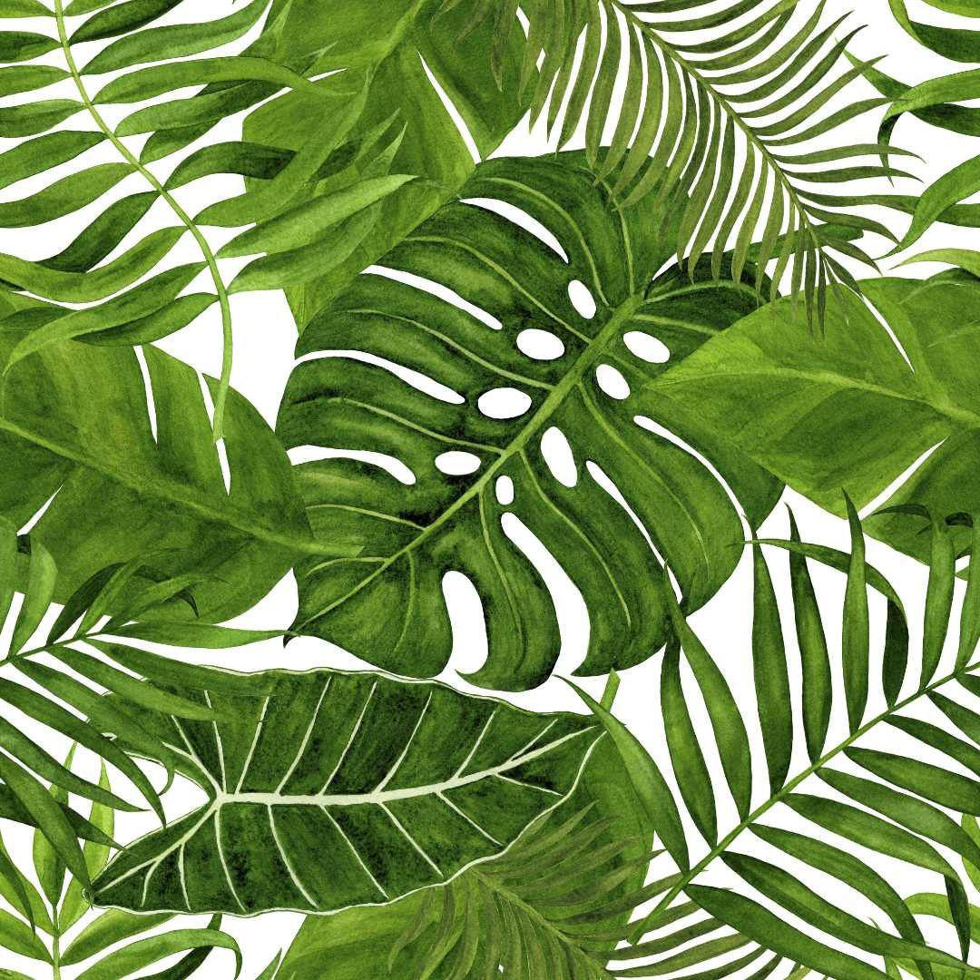 Green Leaves - Mint by Michelle Decoupage Tissue Paper - (pk of 3) - Decoupage - Baillea's Interiors -