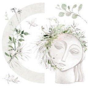 Harmony - 31.5cm x 30cm x 3 Sheets - Hokus Pokus Rub On Decor Transfer Decal - Furniture Transfer - Baillea's Interiors -