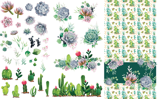 CACTI AND SUCCULENTS - 38.8" x 24.8" - Belles and Whistles Furniture Decor Transfer