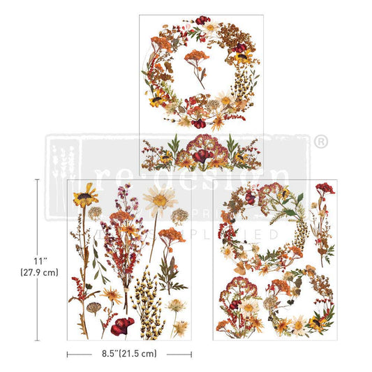 DRIED WILDFLOWERS - 3 sheets - 21.5cm x 27.9cm each - Redesign Decor Transfer Decal