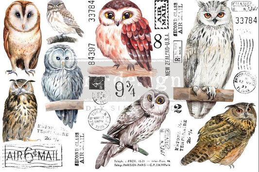 OWL - 3 sheets - 15cm x 30cm each - Redesign Decor Transfer Decal
