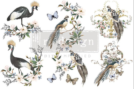 RARE BIRDS - 3 sheets - 15cm x 30cm each - Redesign Decor Transfer Decal
