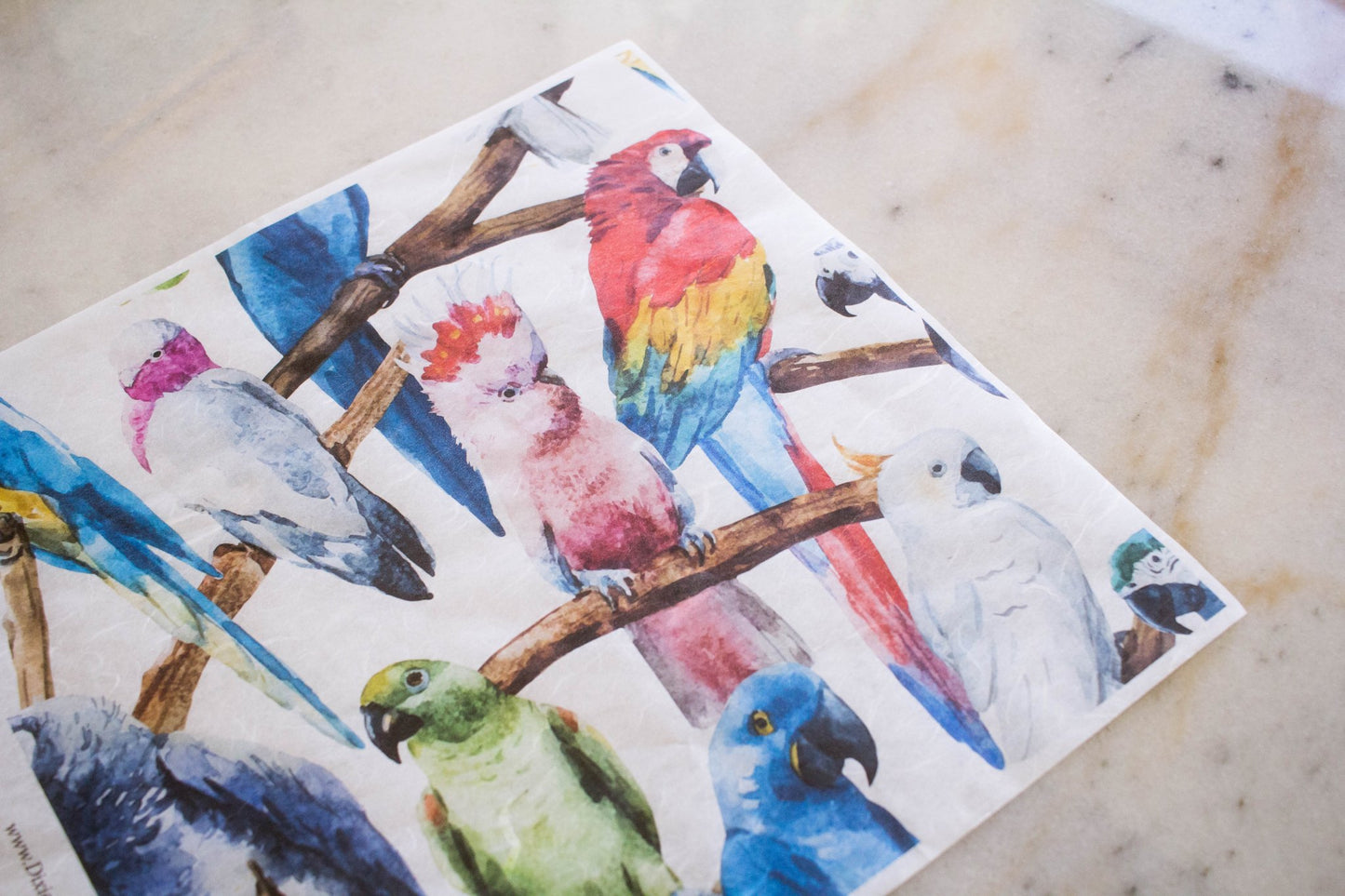 BIRDS - Rice Paper for Decoupage– 3 sheets 11.81″ X 12.6″ - Belles and Whistles - Decoupage - Baillea's Interiors -