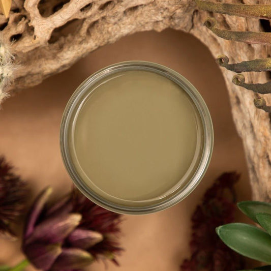 CACTUS Silk All-In-One Mineral Paint - 118ml - 473ml - 946ml - Dixie Belle Paint - Paint - All In One - Baillea's Interiors -