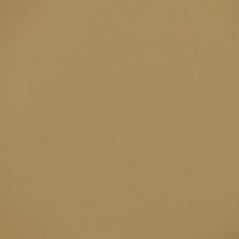 CACTUS Silk All-In-One Mineral Paint - 118ml - 473ml - 946ml - Dixie Belle Paint - Paint - All In One - Baillea's Interiors -