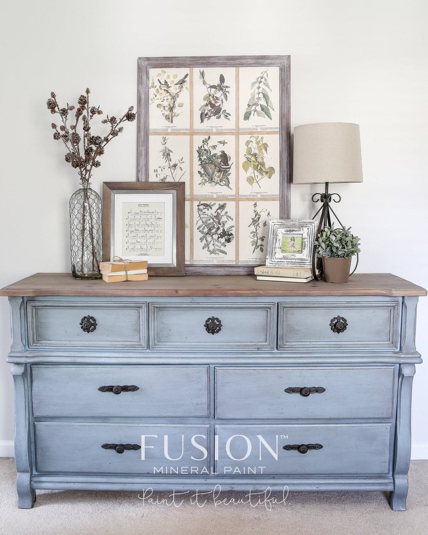 CHAMPNESS - Fusion Mineral Paint - 37ml, 500ml - Paint - All In One - Baillea's Interiors -