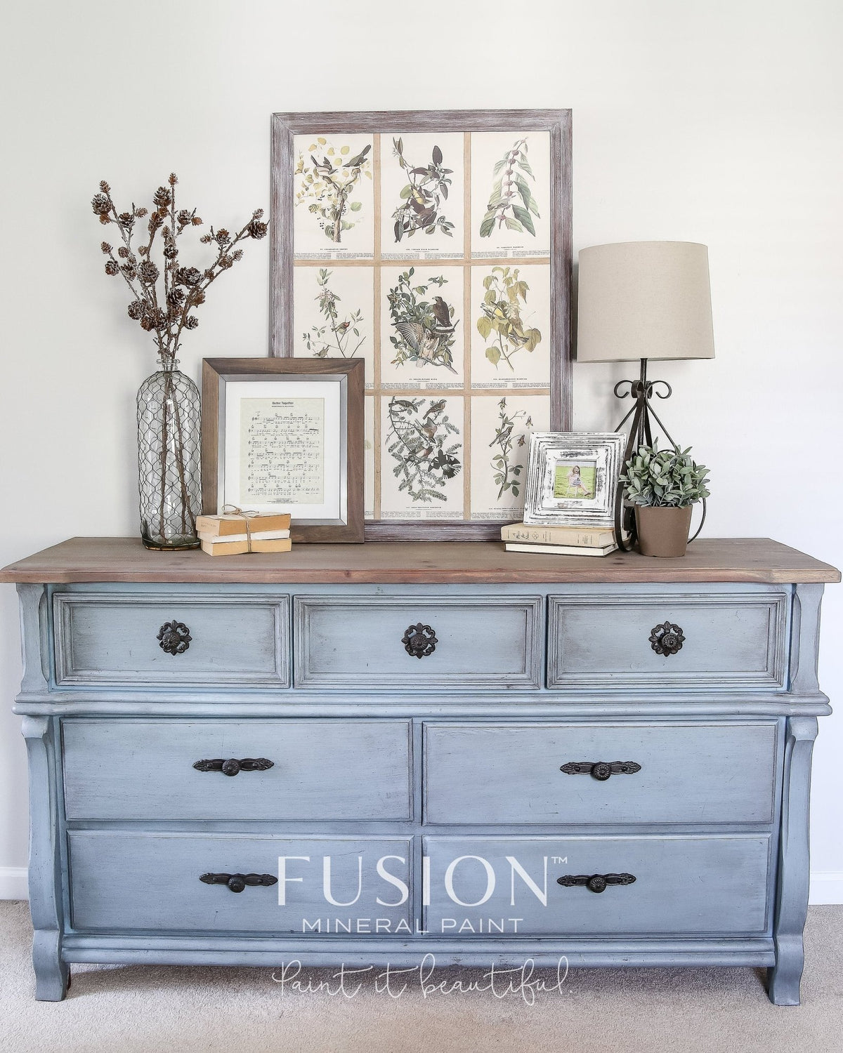CHAMPNESS - Fusion Mineral Paint - 37ml, 500ml - Paint - All In One - Baillea's Interiors -