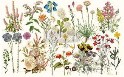 Decoupage Decor Tissue Paper - WILD HERBS - 48.3 cm x 76.2 cm Re-Design with Prima - Decoupage - Baillea's Interiors -