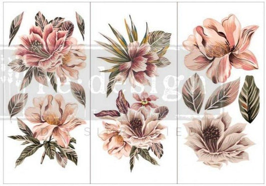 EXOTICA - 3 sheets - 15cm x 30cm each - Redesign Decor Transfer Decal - Furniture Transfer - Baillea's Interiors -