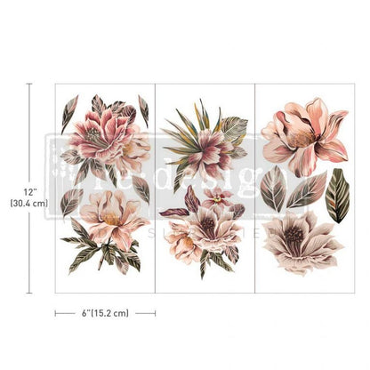 EXOTICA - 3 sheets - 15cm x 30cm each - Redesign Decor Transfer Decal - Furniture Transfer - Baillea's Interiors -