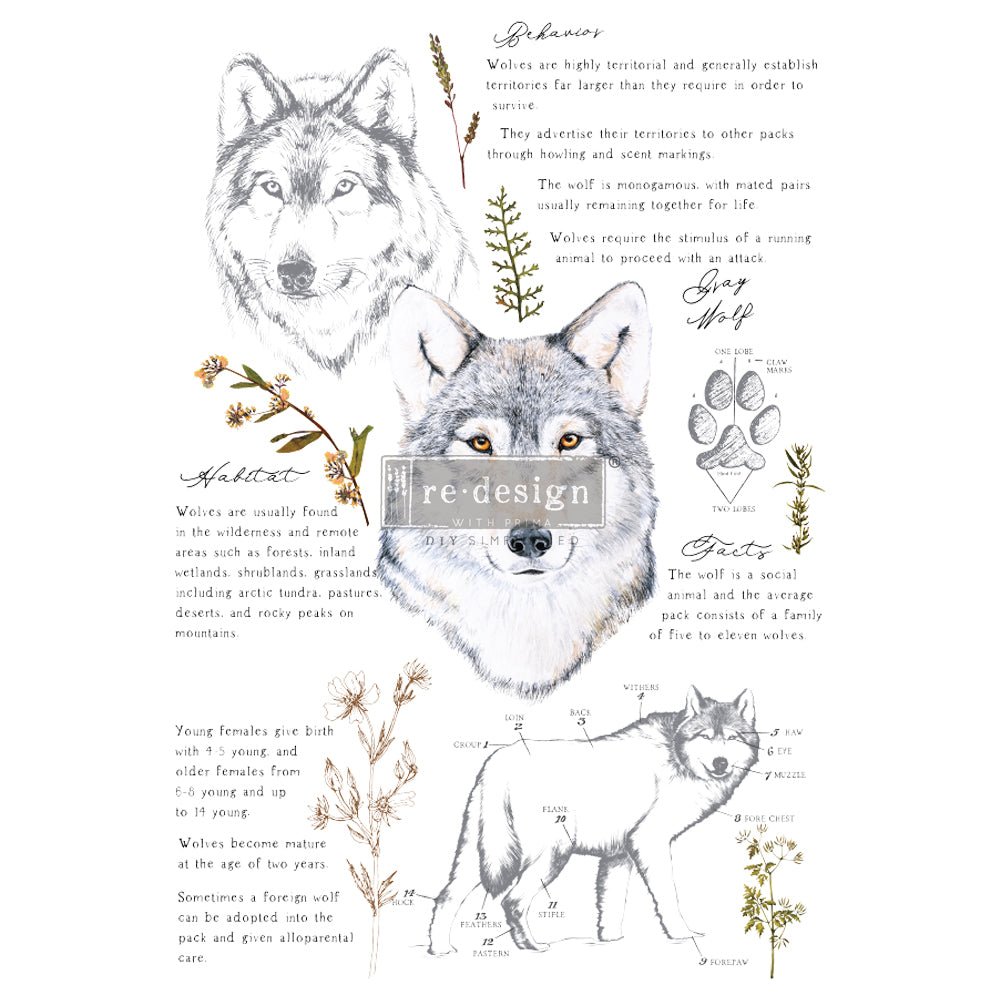 GRAY WOLF - 61cm x 89cm - Redesign Decor Transfer Decal - Furniture Transfer - Baillea's Interiors -