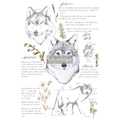 GRAY WOLF - 61cm x 89cm - Redesign Decor Transfer Decal - Furniture Transfer - Baillea's Interiors -