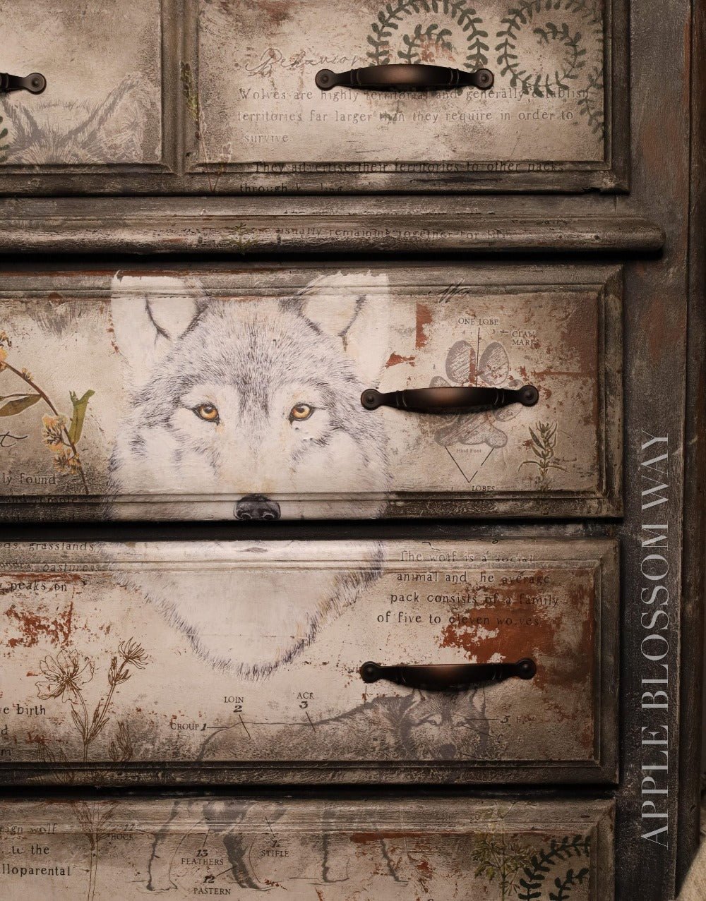 GRAY WOLF - 61cm x 89cm - Redesign Decor Transfer Decal - Furniture Transfer - Baillea's Interiors -