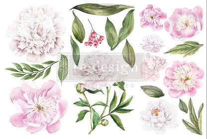 MORNING PEONIES - 3 sheets - 6" x 12" each - Redesign Decor Transfer Decal - Furniture Transfer - Baillea's Interiors -
