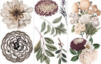 NATURAL FLORA - 3 sheets - 15cm x 30cm each - Redesign Decor Transfer Decal - Furniture Transfer - Baillea's Interiors -