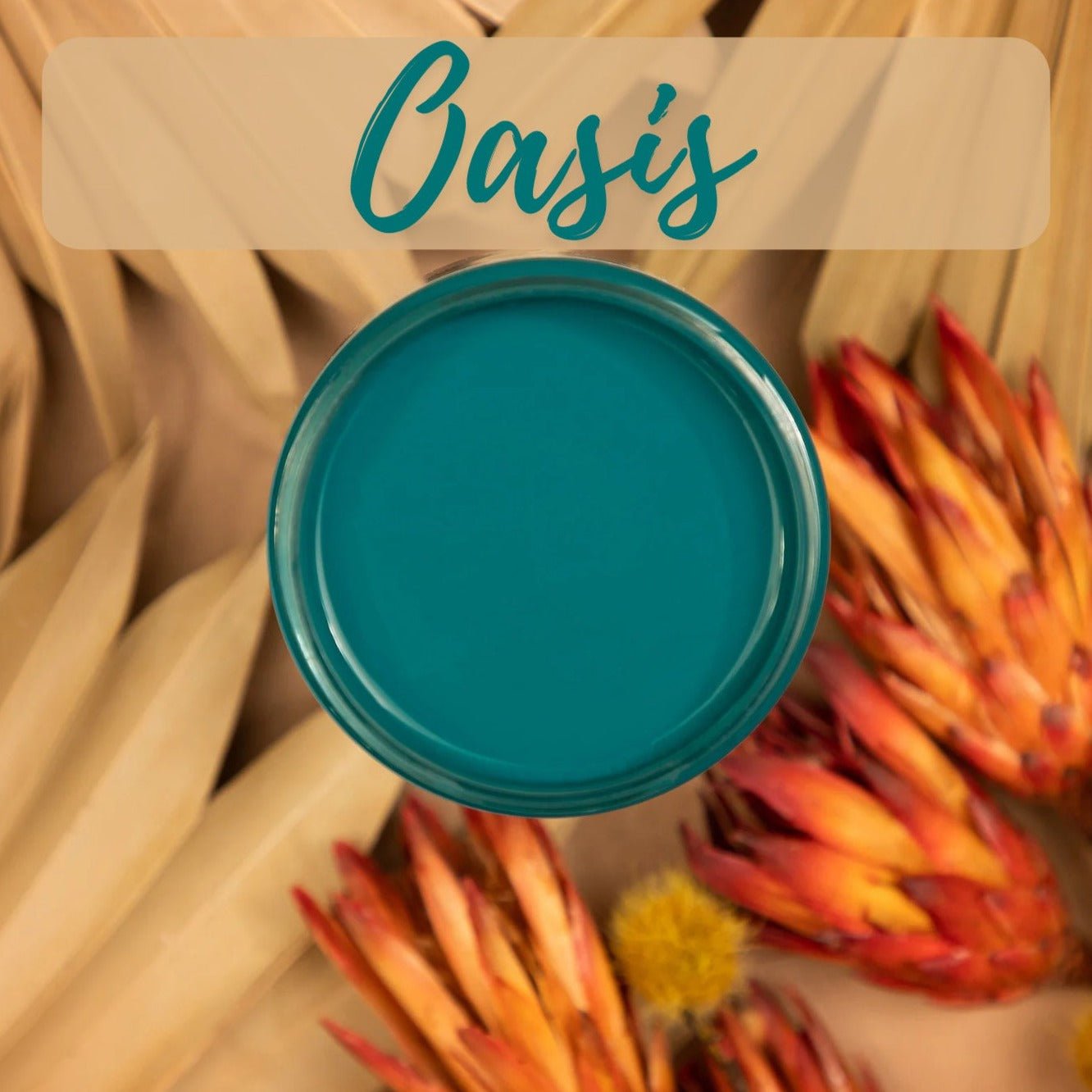 OASIS Silk All-In-One Mineral Paint - 118ml - 473ml - Dixie Belle Paint - Paint - All In One - Baillea's Interiors -