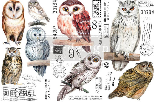 OWL - 3 sheets - 15cm x 30cm each - Redesign Decor Transfer Decal - Furniture Transfer - Baillea's Interiors -
