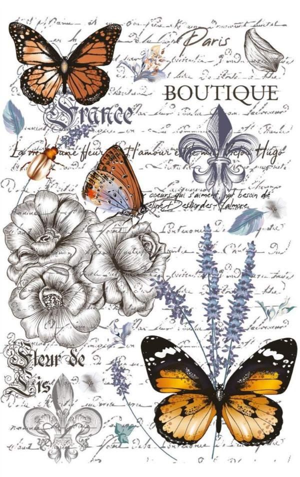 PAPILLON - 23" x 34" - Hokus Pokus Rub On Decor Transfer Decal - Furniture Transfer - Baillea's Interiors -