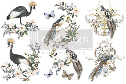 RARE BIRDS - 3 sheets - 15cm x 30cm each - Redesign Decor Transfer Decal - Furniture Transfer - Baillea's Interiors -