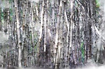 WOODLANDS - Decor Weave for Decoupage – 89.25cm x 59.5cm - Hokus Pokus - Decoupage - Baillea's Interiors -